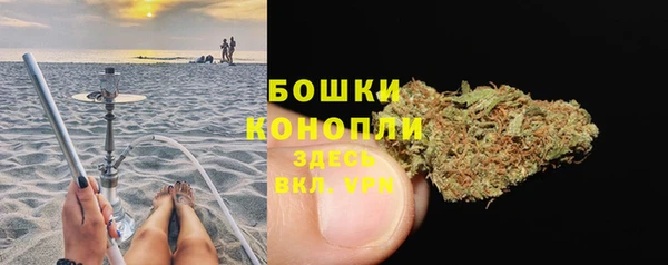 тгк Гусиноозёрск