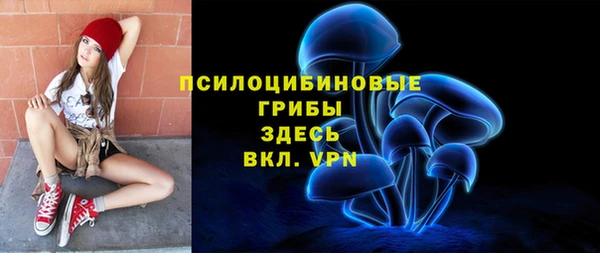 МДМА Гусев