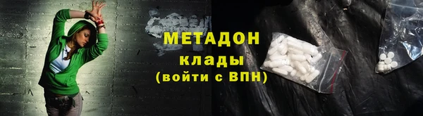 амф Гусь-Хрустальный