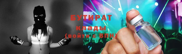 амф Гусь-Хрустальный