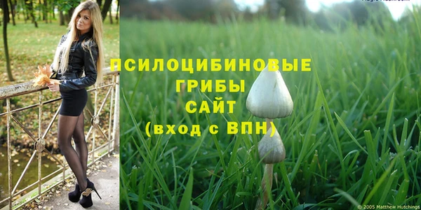 амф Гусь-Хрустальный