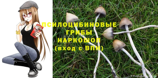 МДМА Гусев