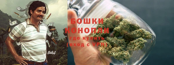 амф Гусь-Хрустальный
