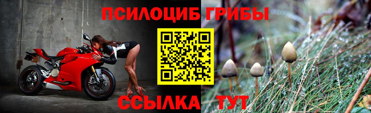 Псилоцибиновые грибы прущие грибы Люберцы